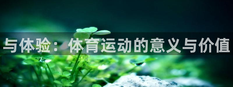 182体育网页版
