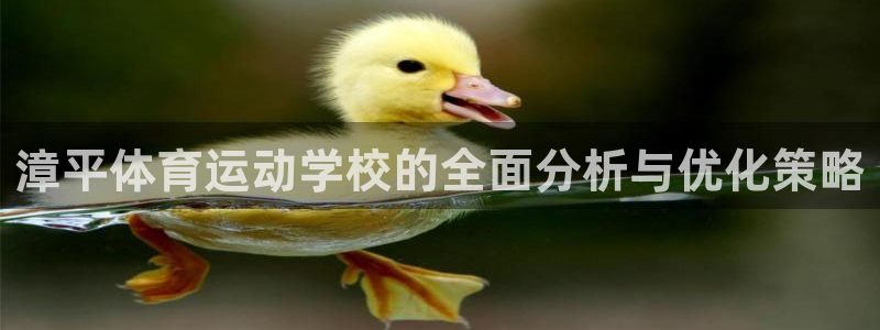 182体育app合法吗