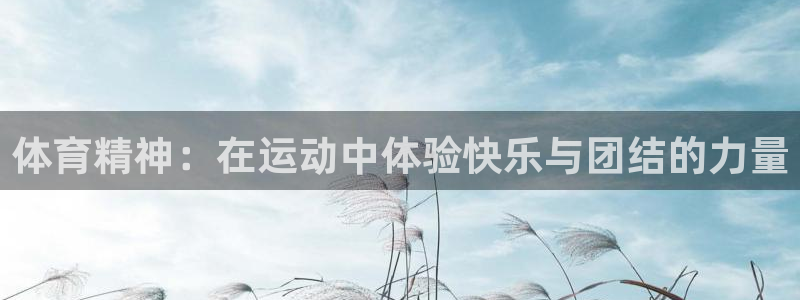 182体育app官方网站：体育精神：在运动中体验快乐与团结的力量