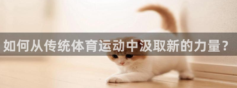 关键词：如何从传统体育运动中汲取新的力量？